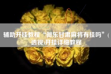 辅助开挂教程“微乐甘肃麻将有挂吗”(透视)开挂详细教程