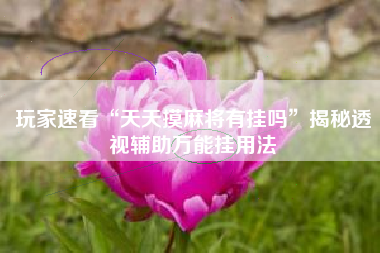 玩家速看“天天摸麻将有挂吗”揭秘透视辅助万能挂用法