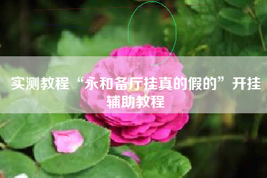 实测教程“永和备厅挂真的假的”开挂辅助教程