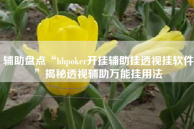 辅助盘点“hhpoker开挂辅助挂透视挂软件”揭秘透视辅助万能挂用法 辅助盘点“hhpoker开挂辅助挂透视挂软件”揭秘透视辅助万能挂用法