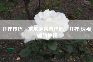 开挂技巧“来来麻将有挂吗”开挂(透视)辅助教程