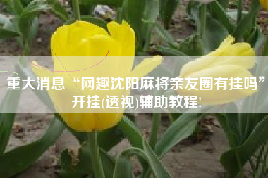 重大消息“网趣沈阳麻将亲友圈有挂吗”开挂(透视)辅助教程!
