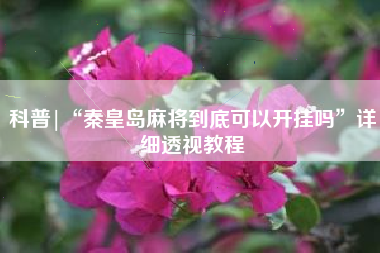 科普|“秦皇岛麻将到底可以开挂吗”详细透视教程