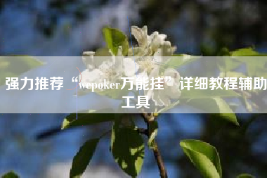强力推荐“wepoker万能挂”详细教程辅助工具