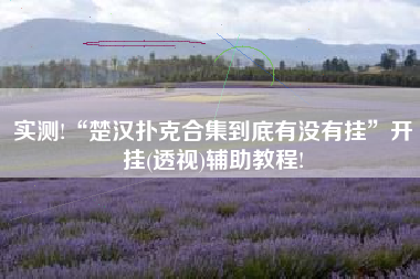 实测!“楚汉扑克合集到底有没有挂”开挂(透视)辅助教程! 实测!“楚汉扑克合集到底有没有挂”开挂(透视)辅助教程!