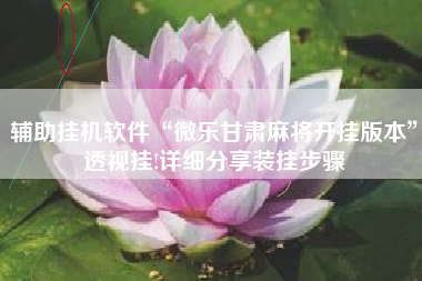 辅助挂机软件“微乐甘肃麻将开挂版本”透视挂!详细分享装挂步骤 辅助挂机软件“微乐甘肃麻将开挂版本”透视挂!详细分享装挂步骤