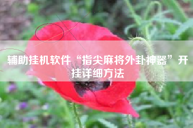 辅助挂机软件“指尖麻将外卦神器”开挂详细方法