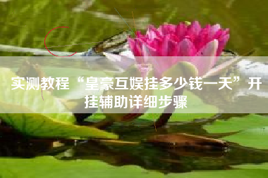 实测教程“皇豪互娱挂多少钱一天”开挂辅助详细步骤 实测教程“皇豪互娱挂多少钱一天”开挂辅助详细步骤