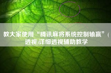 教大家使用“腾讯麻将系统控制输赢”(透视)详细透视辅助教学