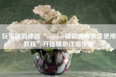 玩家辅助神器“wepoker辅助透视软件使用教程”开挂辅助详细步骤