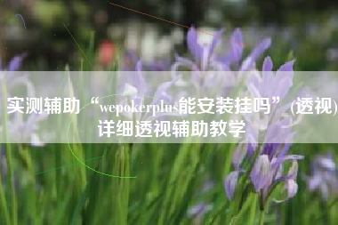 实测辅助“wepokerplus能安装挂吗”(透视)详细透视辅助教学