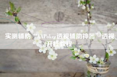 实测辅助“AAPoker透视辅助神器”透视开挂教程