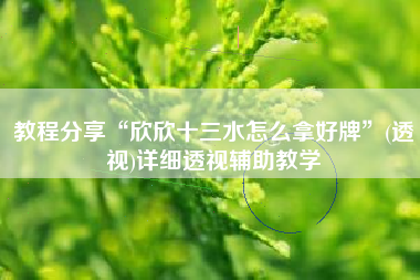 教程分享“欣欣十三水怎么拿好牌”(透视)详细透视辅助教学