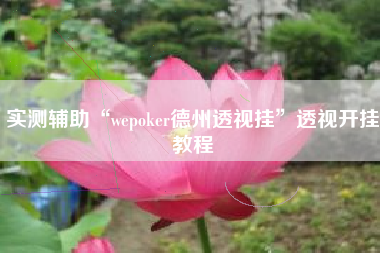 实测辅助“wepoker德州透视挂”透视开挂教程
