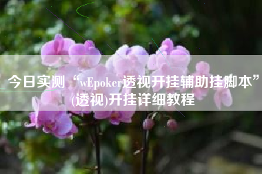 今日实测“wEpoker透视开挂辅助挂脚本”(透视)开挂详细教程