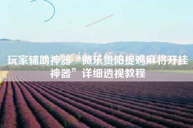 玩家辅助神器“微乐贵阳捉鸡麻将开挂神器”详细透视教程