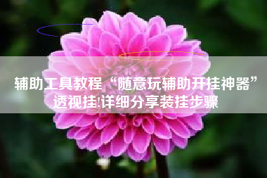 辅助工具教程“随意玩辅助开挂神器”透视挂!详细分享装挂步骤