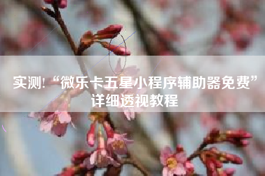 实测!“微乐卡五星小程序辅助器免费”详细透视教程