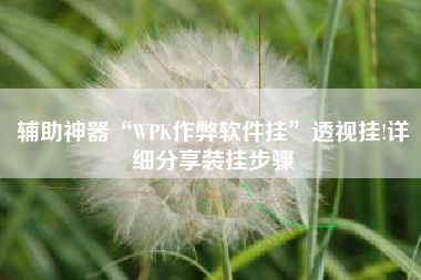 辅助神器“WPK作弊软件挂”透视挂!详细分享装挂步骤