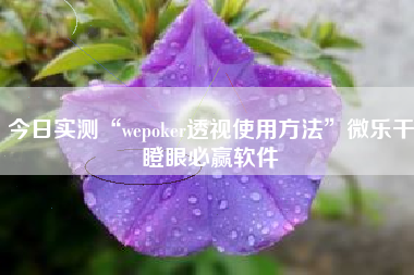 今日实测“wepoker透视使用方法”微乐干瞪眼必赢软件
