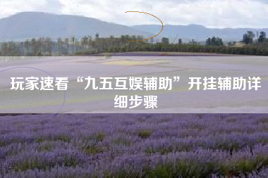 玩家速看“九五互娱辅助”开挂辅助详细步骤