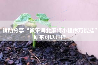 辅助分享“微乐河北麻将小程序万能挂”原来可以开挂