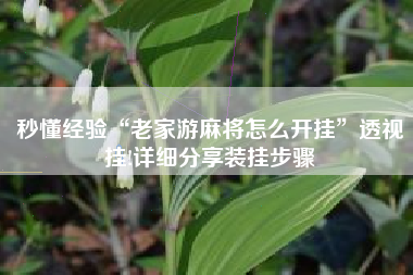 秒懂经验“老家游麻将怎么开挂”透视挂!详细分享装挂步骤