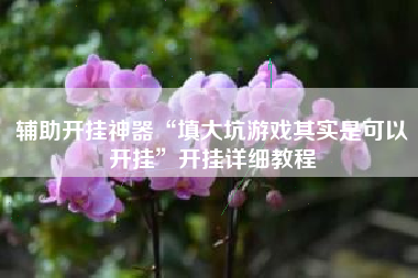 辅助开挂神器“填大坑游戏其实是可以开挂”开挂详细教程