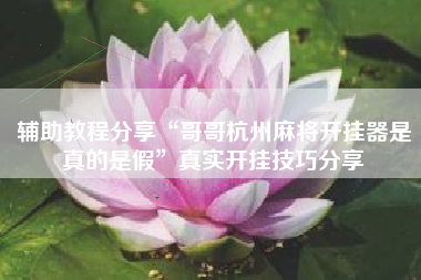 辅助教程分享“哥哥杭州麻将开挂器是真的是假”真实开挂技巧分享