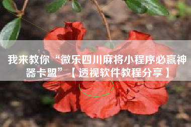 我来教你“微乐四川麻将小程序必赢神器卡盟”【透视软件教程分享】