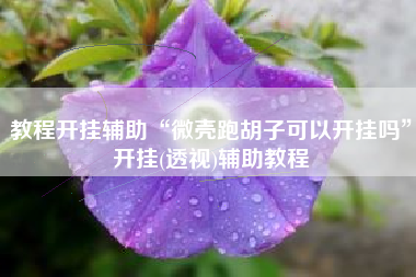 教程开挂辅助“微壳跑胡子可以开挂吗”开挂(透视)辅助教程