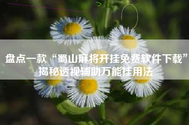 盘点一款“蜀山麻将开挂免费软件下载”揭秘透视辅助万能挂用法