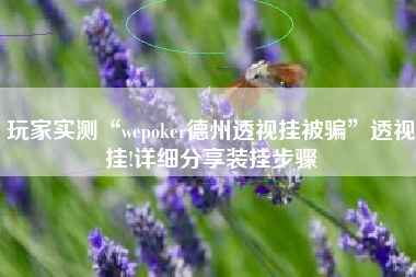 玩家实测“wepoker德州透视挂被骗”透视挂!详细分享装挂步骤