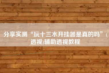 分享实测“玩十三水开挂器是真的吗”(透视)辅助透视教程