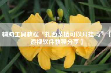 辅助工具教程“扎西茶楼可以开挂吗”【透视软件教程分享】