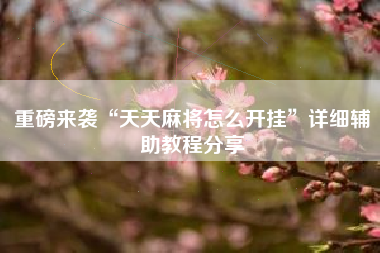 重磅来袭“天天麻将怎么开挂”详细辅助教程分享