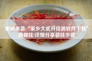 重磅来袭“家乡大贰开挂器软件下载”透视挂!详细分享装挂步骤