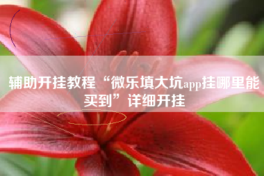 辅助开挂教程“微乐填大坑app挂哪里能买到”详细开挂