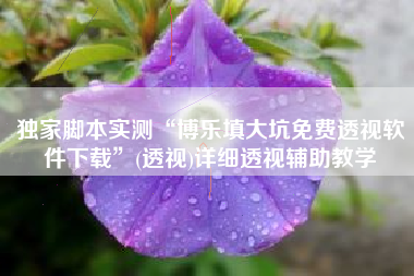 独家脚本实测“博乐填大坑免费透视软件下载”(透视)详细透视辅助教学