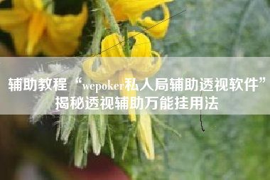 辅助教程“wepoker私人局辅助透视软件”揭秘透视辅助万能挂用法