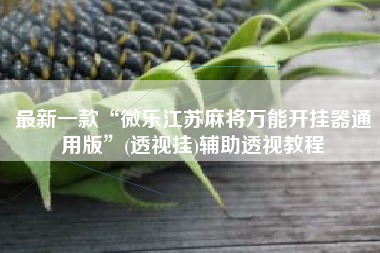 最新一款“微乐江苏麻将万能开挂器通用版”(透视挂)辅助透视教程