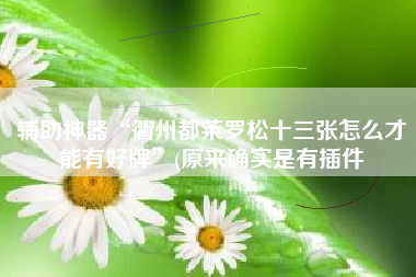 辅助神器“衢州都莱罗松十三张怎么才能有好牌”(原来确实是有插件