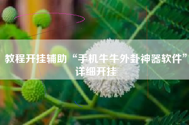 教程开挂辅助“手机牛牛外卦神器软件”详细开挂