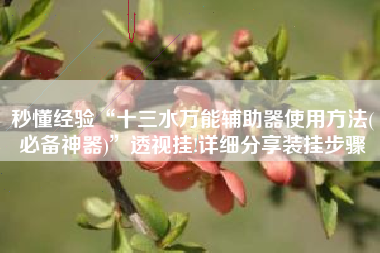 秒懂经验“十三水万能辅助器使用方法(必备神器)”透视挂!详细分享装挂步骤