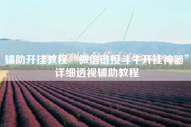 辅助开挂教程“微信链接斗牛开挂神器”详细透视辅助教程