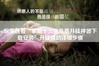 玩家速看“掌酷十三张免费开挂神器下载安装”开挂辅助详细步骤