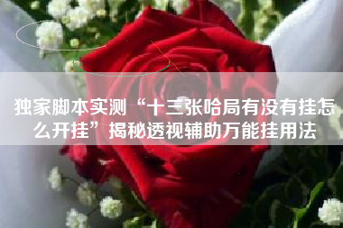 独家脚本实测“十三张哈局有没有挂怎么开挂”揭秘透视辅助万能挂用法