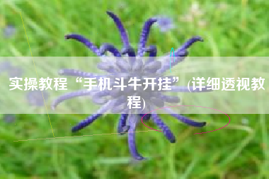 实操教程“手机斗牛开挂”(详细透视教程)