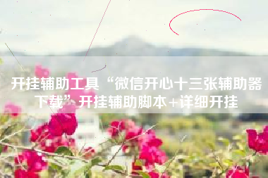 开挂辅助工具“微信开心十三张辅助器下载”开挂辅助脚本+详细开挂