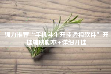 强力推荐“手机斗牛开挂透视软件”开挂辅助脚本+详细开挂